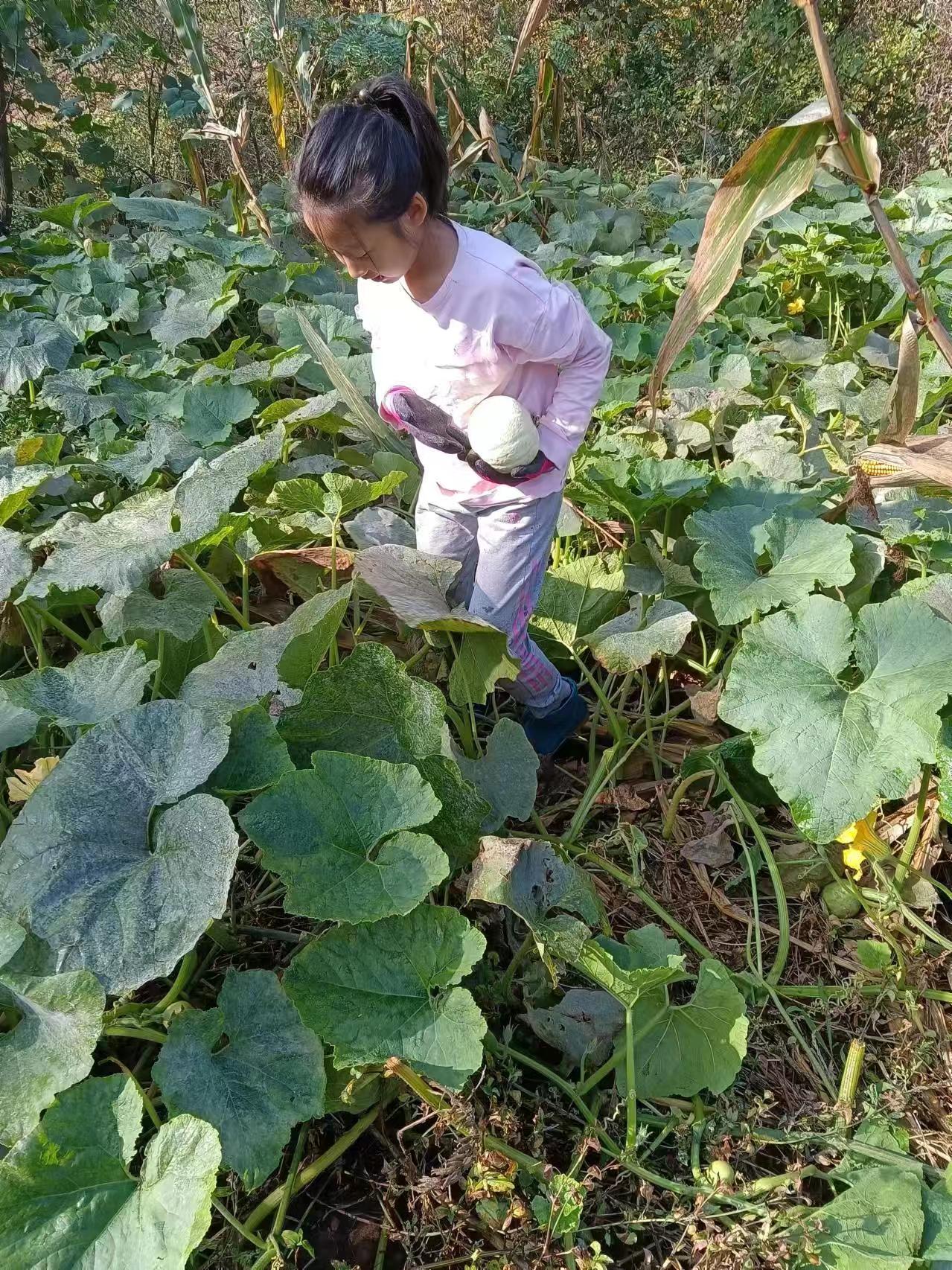 1728514410706266.jpg 微信图片_20241010065313.jpg