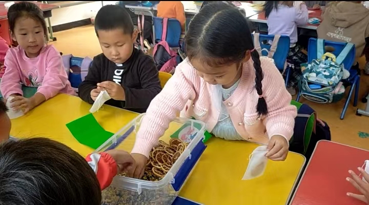 微信图片_20241011162448.png