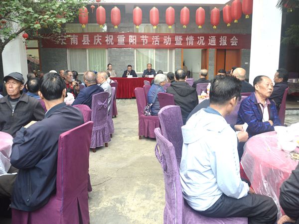 通报会现场.JPG