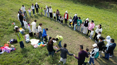 1729216615646264.png 图片1.png