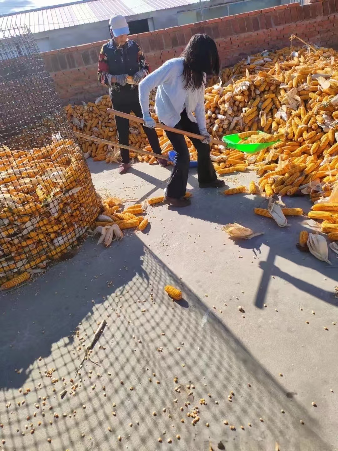 1729478048604570.jpg 微信图片_20241021101718.jpg