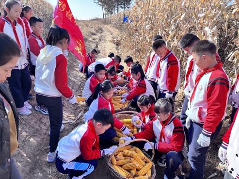 微信图片_20241021185601.jpg