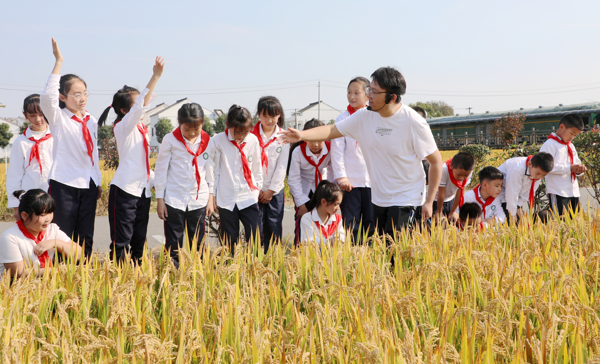 1729664172316693.jpg 稻花香里说丰年.JPG