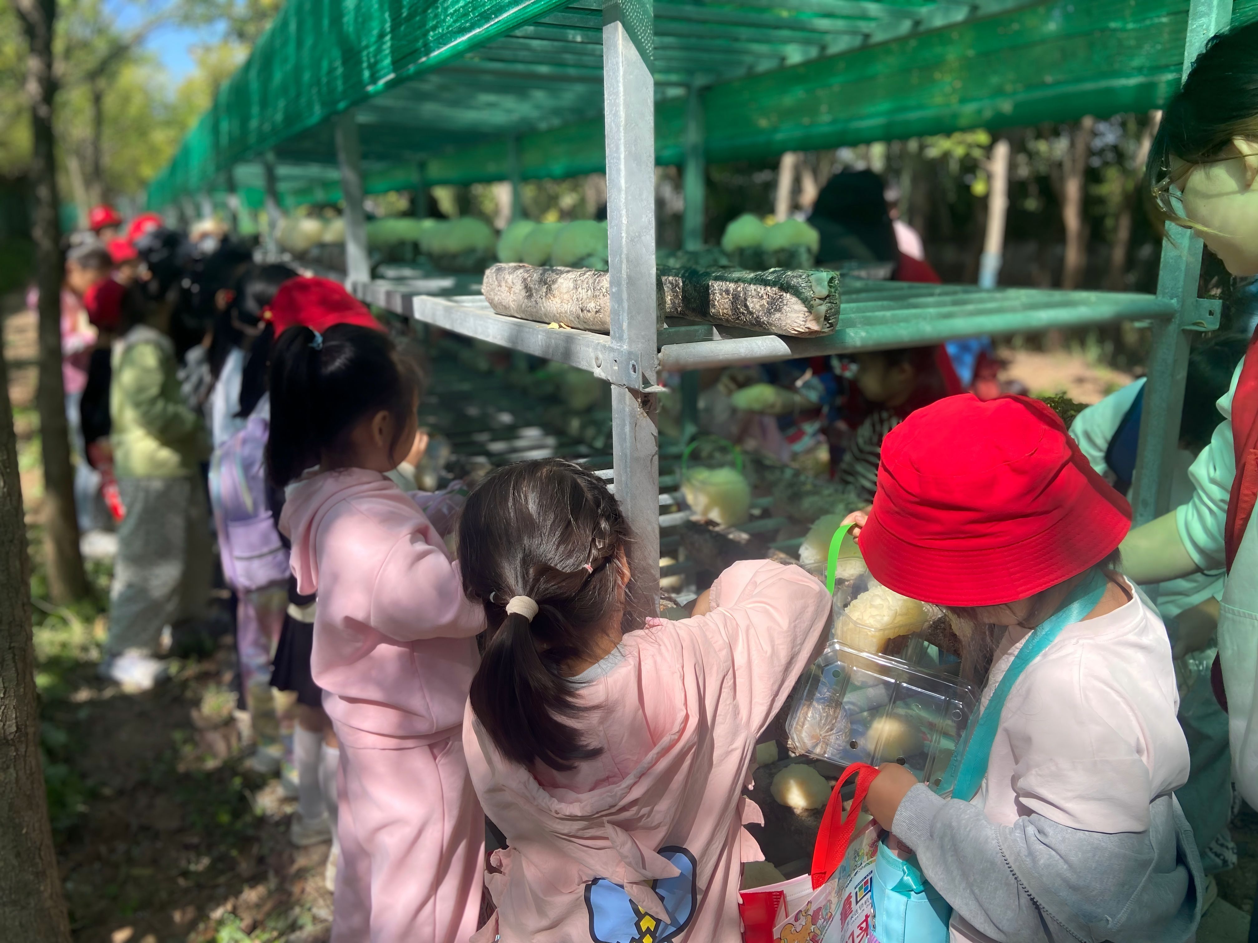 1729665859119538.jpg 微信图片_20241016145609(1).jpg