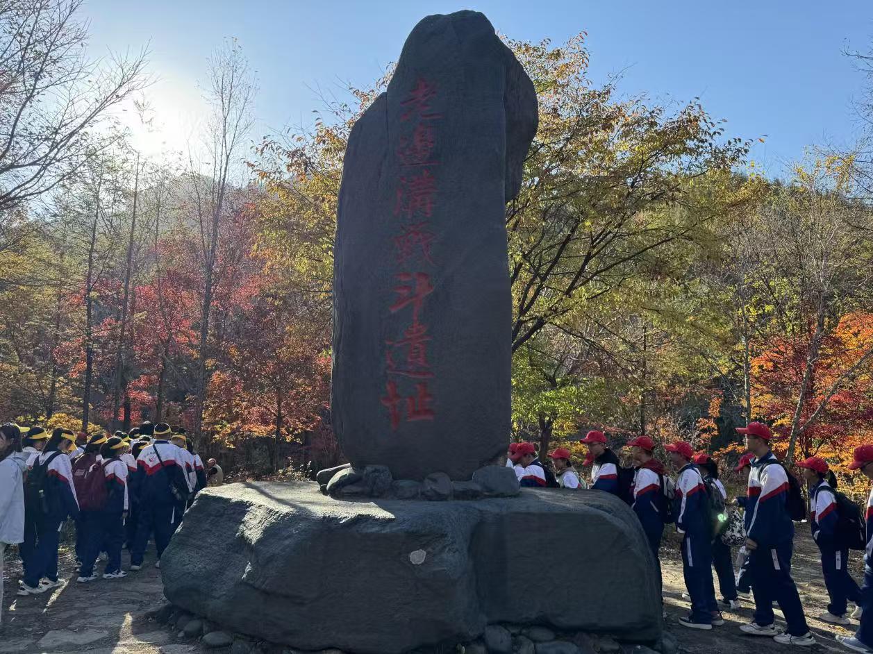 1730007734771384.jpg 微信图片_20241027134046.jpg