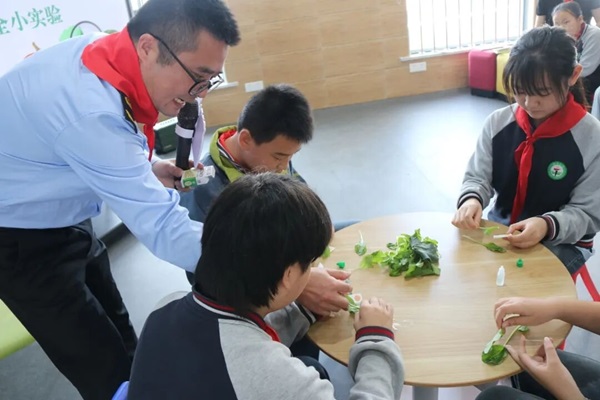 【桃源镇】  守护食品安全 共筑食安校园3.操作小实验_proc.jpg