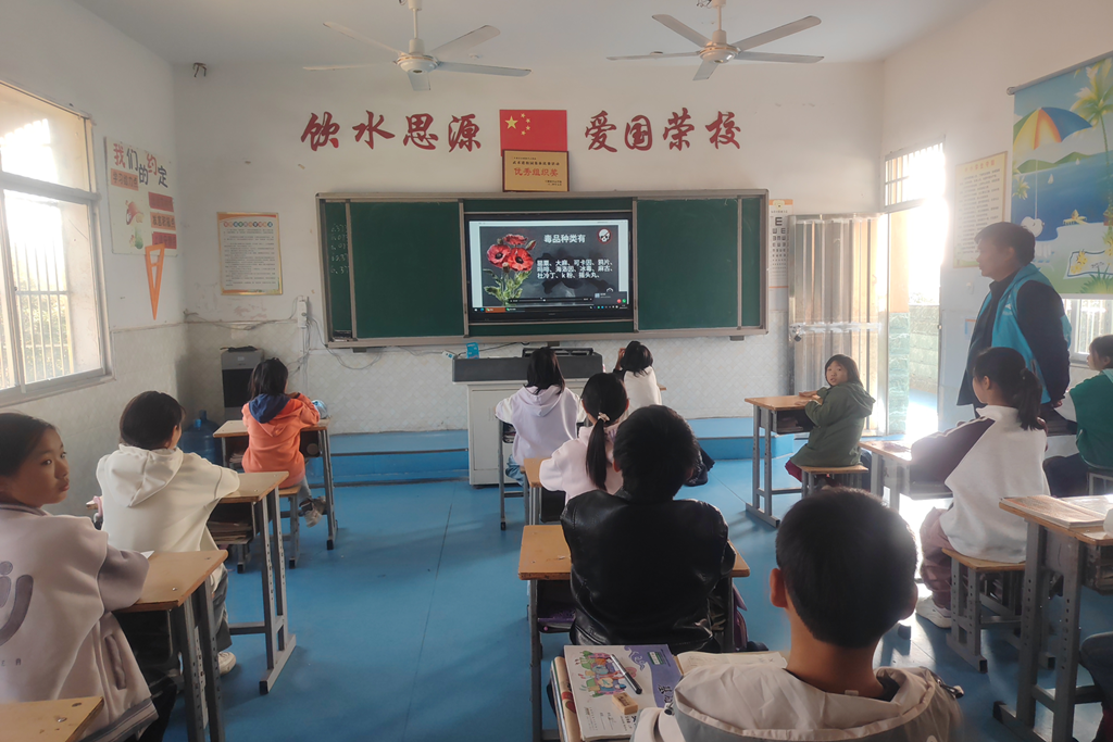 1730432696726395.png 图片1_副本_副本.png