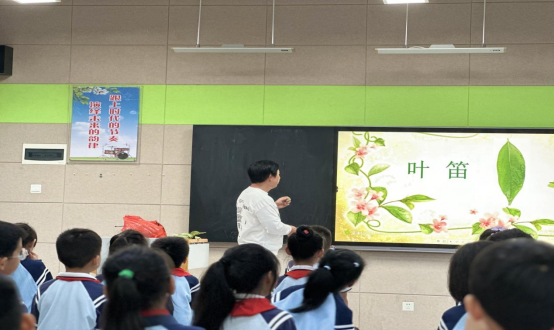 1730857837647848.png 叶.png