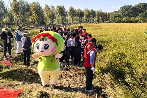 稻田庆丰收 心田护花开——吴江区青少年校外心理科普基地（盛泽站）启动--.jpg