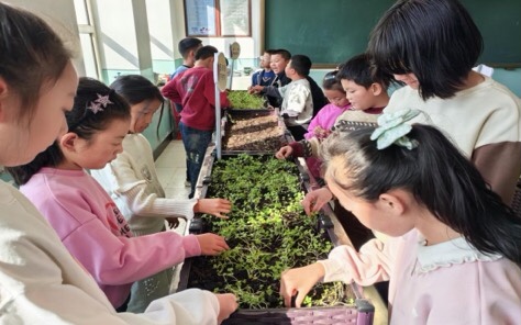 1731552983978409.jpg 微信图片_20241114103741.jpg