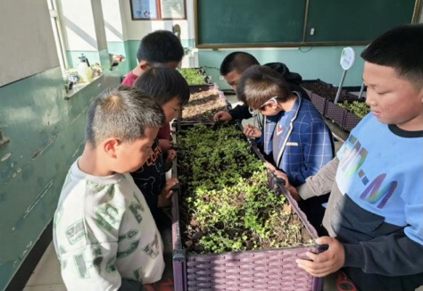 1731553039514565.jpg 微信图片_20241114103744.jpg
