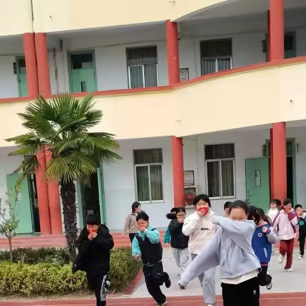 1731980556867126.jpg