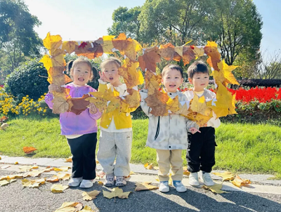 1732147341740541.png 图片1.png