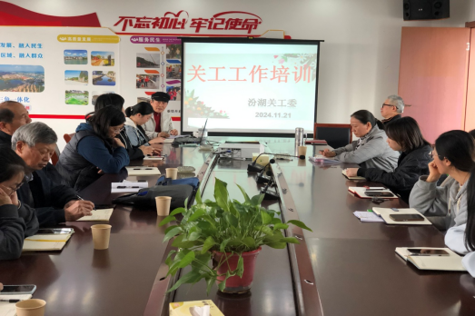 1732346538731799.png 汾湖举办关工工作培训会.png