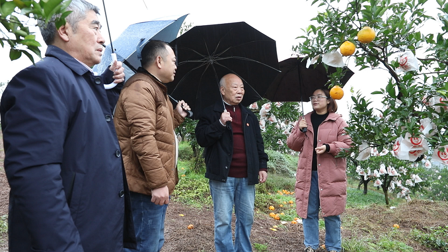 1734314232164425.png 图片1.png