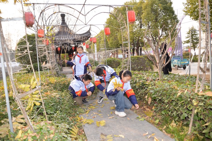 1734315714850579.jpg DSC_4749.jpg