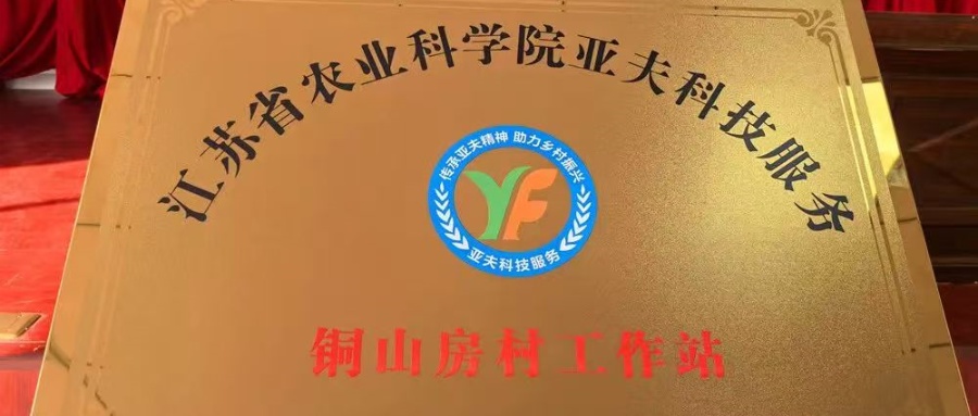 1735514172862959.jpg 02.jpg