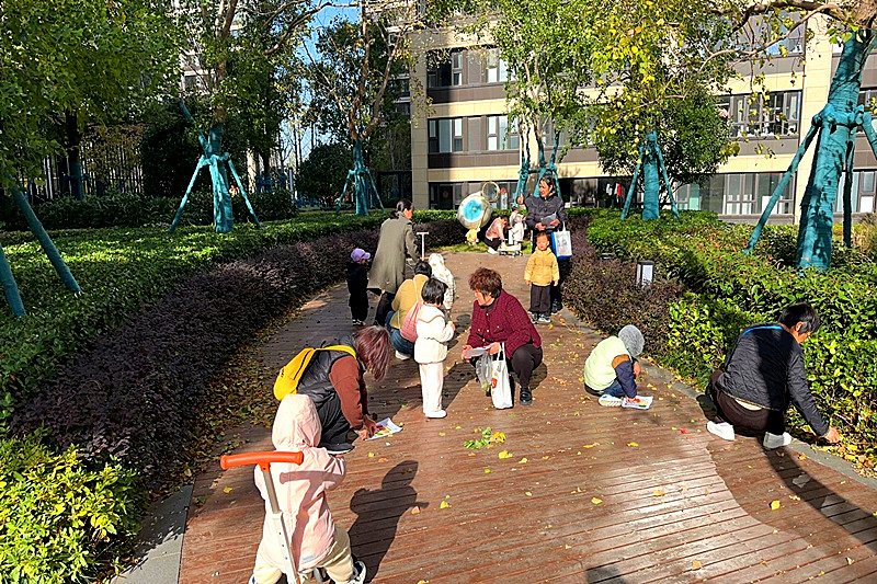 1735862820636133.jpg 江苏省南京市雨花台区古遗井社区关工委开展“自然之韵,落叶为画”户外活动(1).jpg