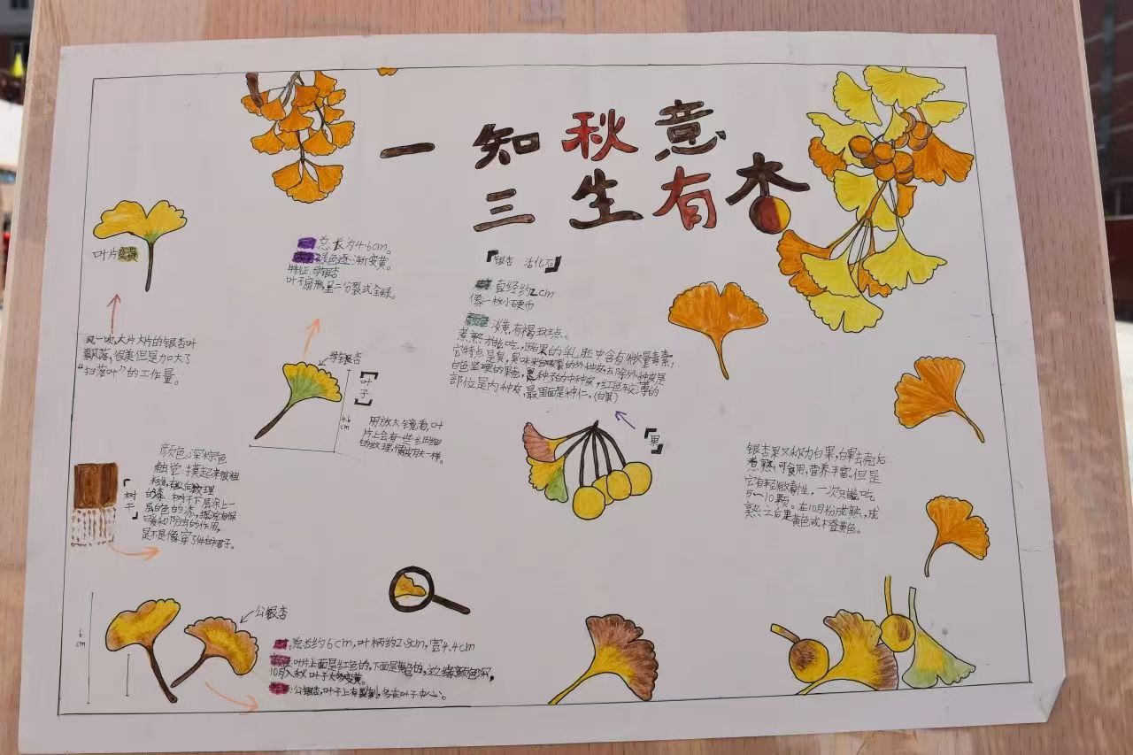1735977564342932.jpg 微信图片_20250104155907.jpg