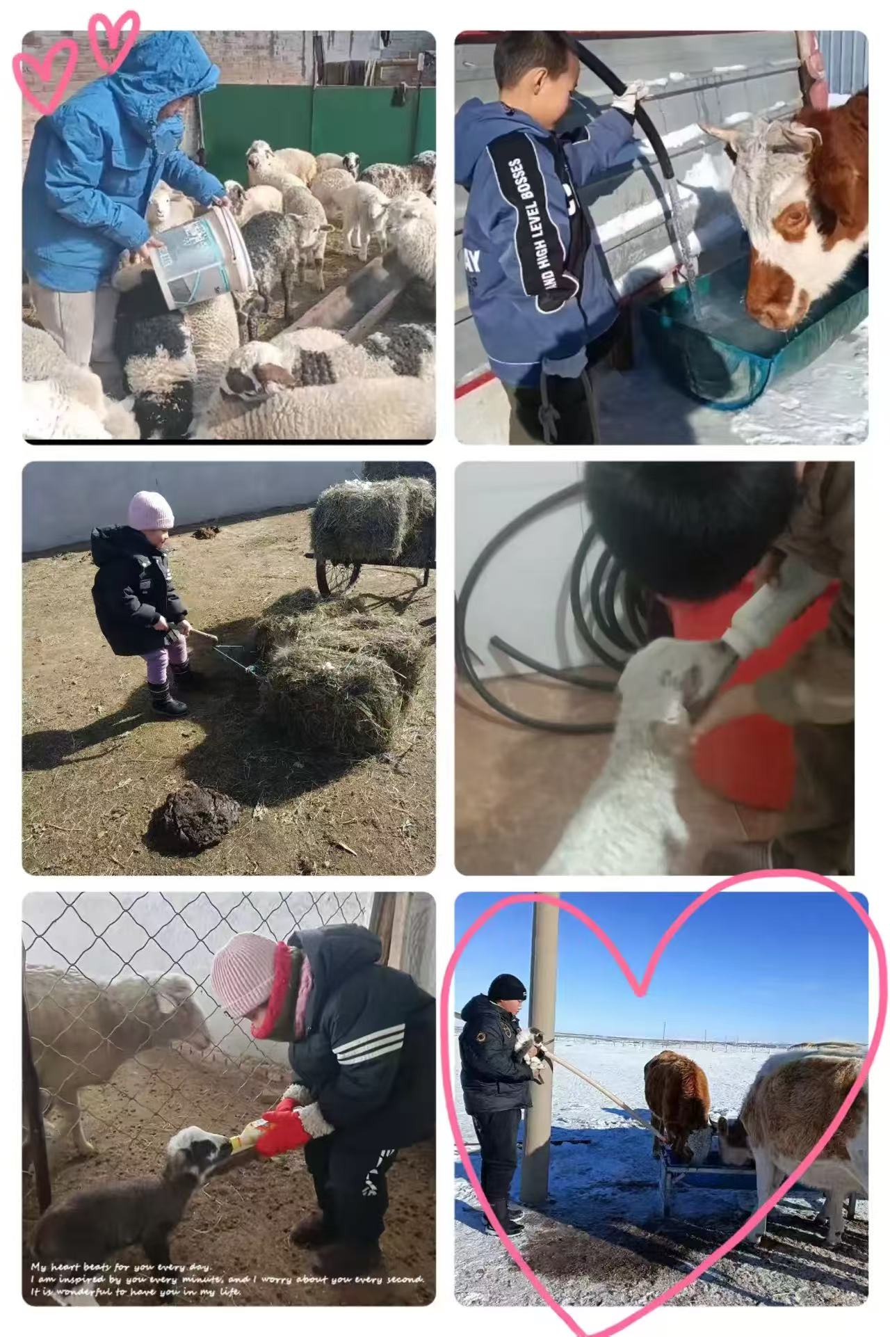 1740318762497878.jpg 微信图片_20250223215221.jpg