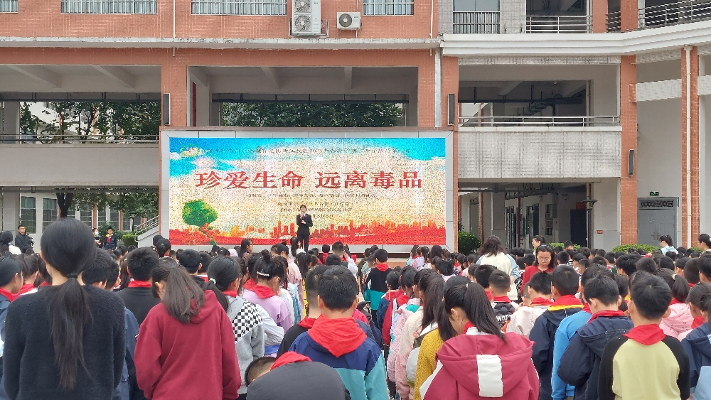 1740996243734008.jpg 西江路小学法治副校长“禁毒知识“宣传1.jpg