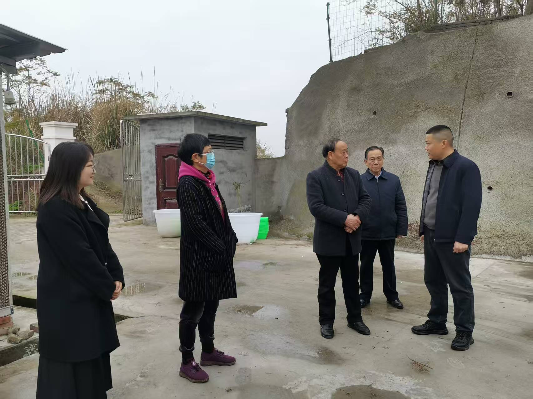 邓主任调研 (2).jpg