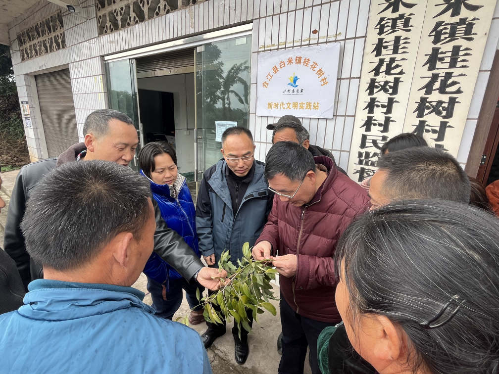 1741338642645371.png 图片3(1).png