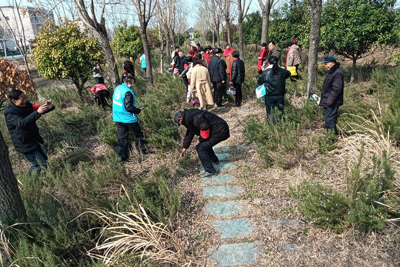 1741446900704750.png 图片1_副本_副本.png