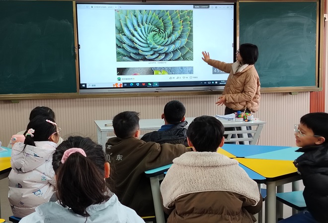 1741672455999997.jpg 青云学校好苗苗班开展“探秘奇趣植物世界”主题活动2.jpg