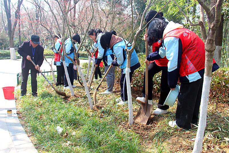 1741745691246572.jpg 江苏省南京市玄武区玄武湖街道关工委联合组织青少年开展“植树节”主题活动(2).jpg
