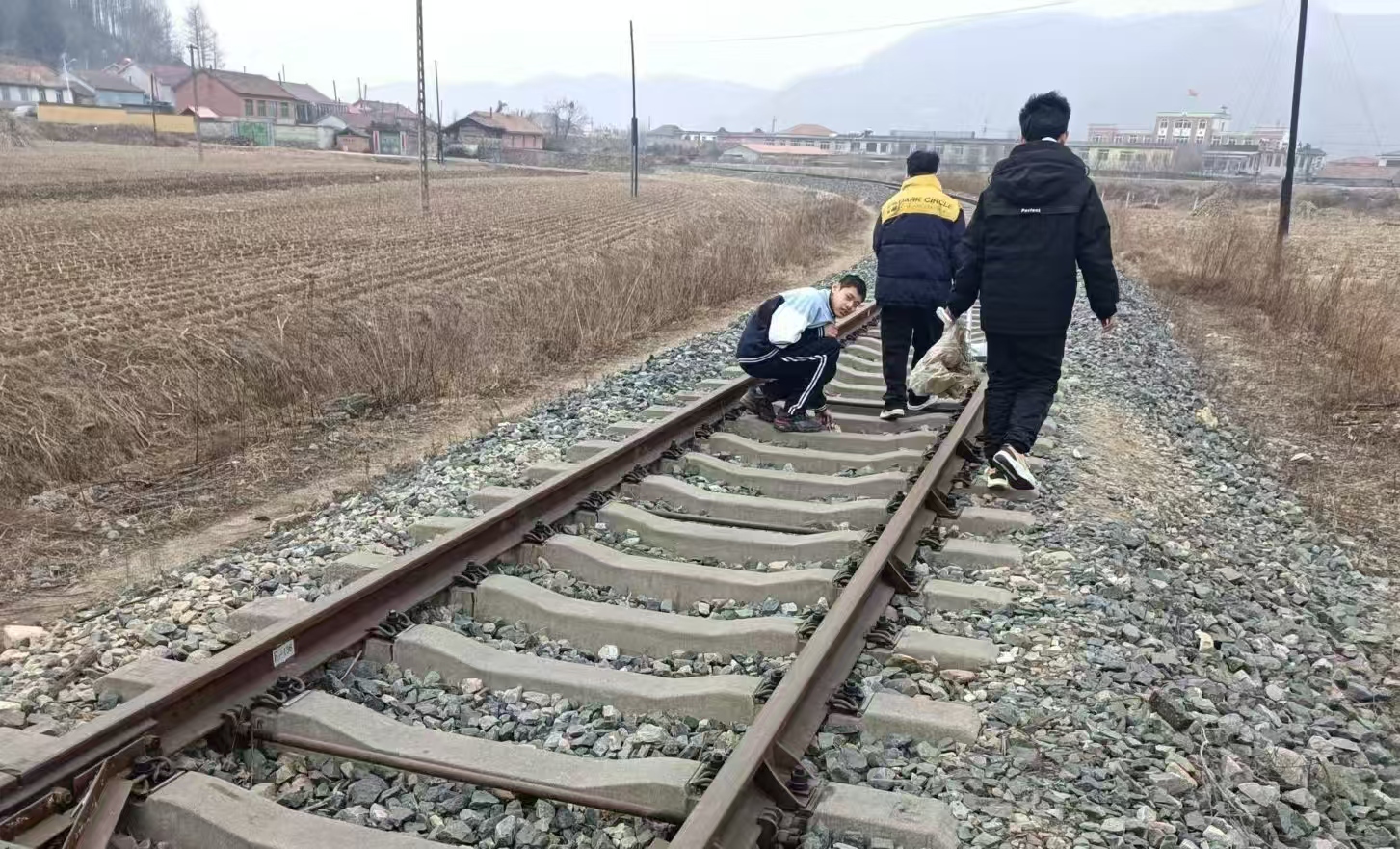 1741820596834239.jpg 微信图片_20250312204736.jpg