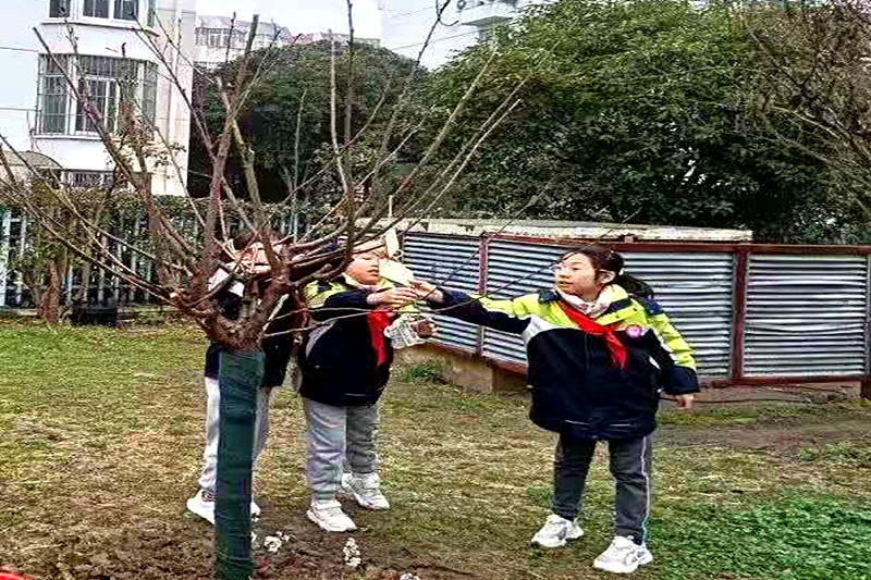 1741828383219878.jpg 江苏省南京市玄武区樱驼花园社区关工委联合开展“樱约春光,共植希望”植树节活动(5).jpg