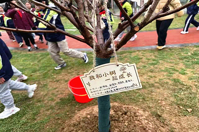 1741828393744551.jpg 江苏省南京市玄武区樱驼花园社区关工委联合开展“樱约春光,共植希望”植树节活动(6).jpg