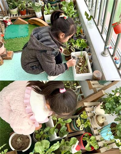 1741829039446923.jpg 277717c14461190d796eac9d49d42b4e (1)_看图王.jpg