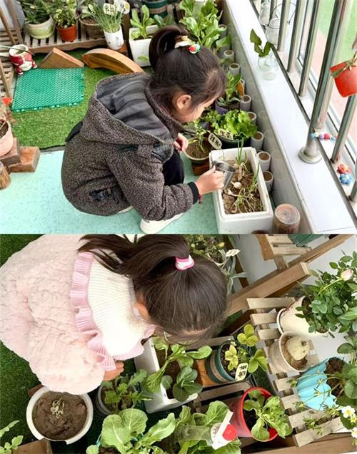 1741829052574032.jpg 277717c14461190d796eac9d49d42b4e_看图王.jpg