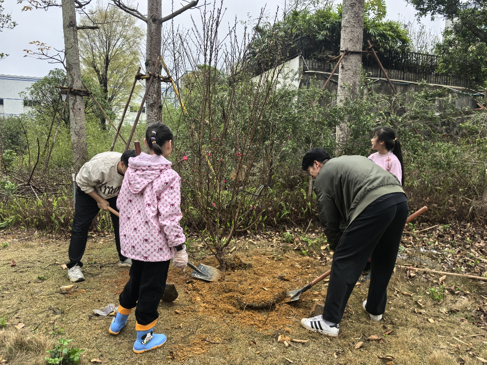 1741859029765444.jpg 种植小树.jpg