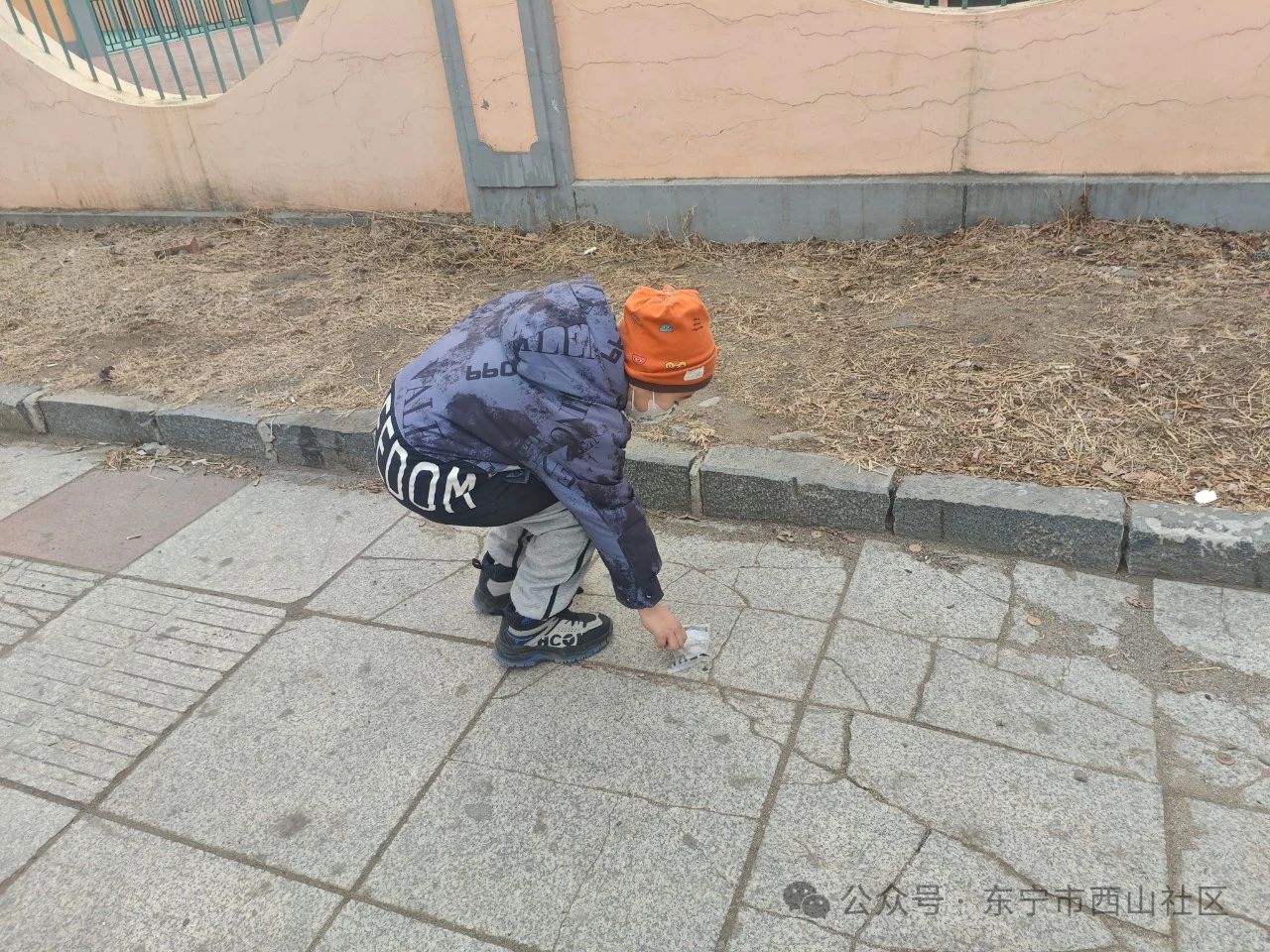 1741915393595967.jpg 2.jpg