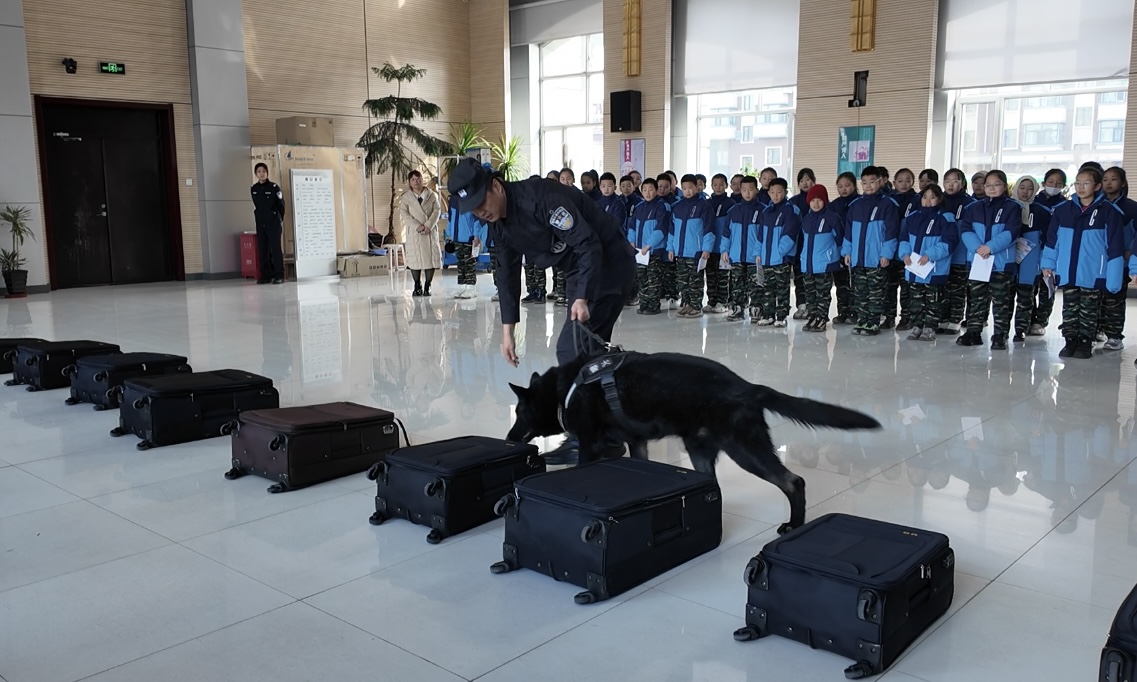 1742454594335102.jpg 二小研学12.jpg