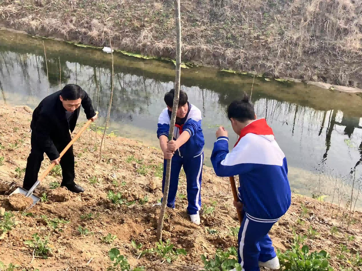 1742822165545550.png 图片2(1)(1)(1).png