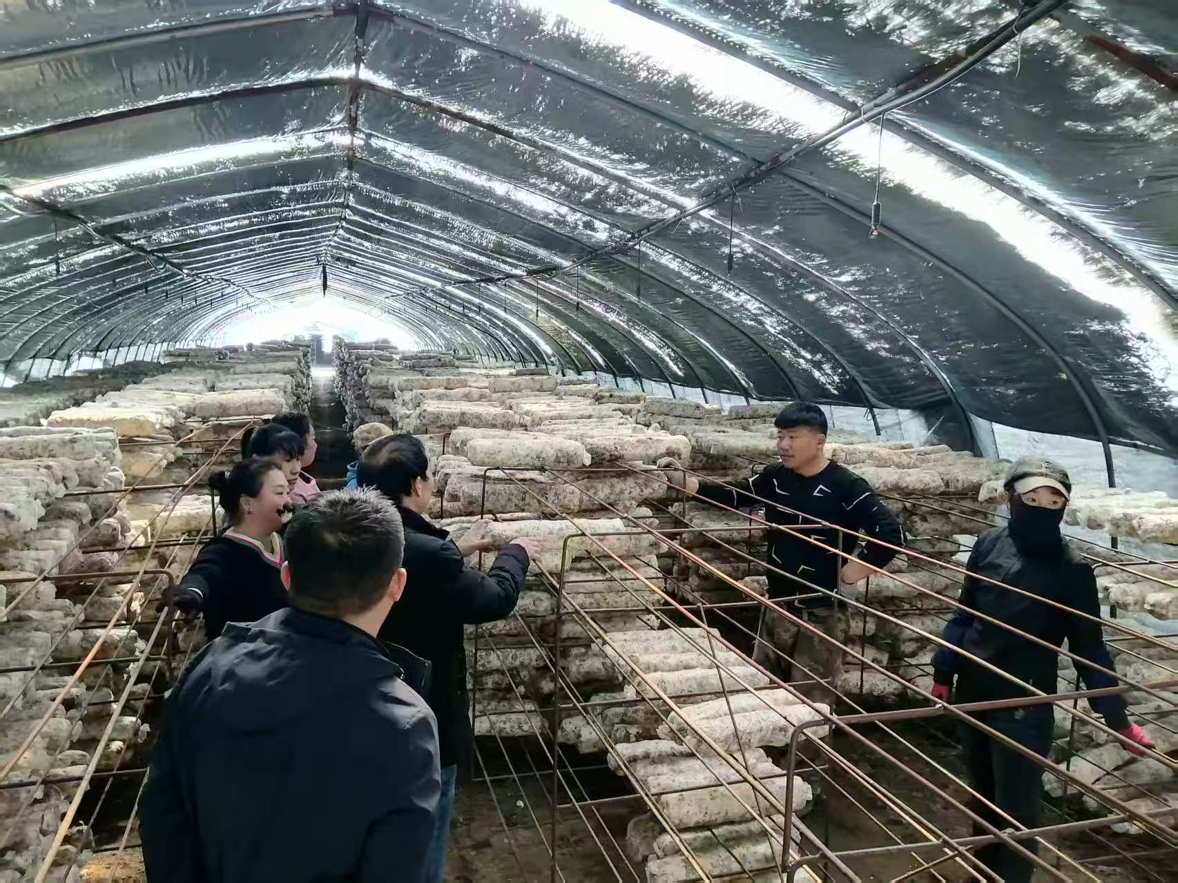 微信图片_20250327161539.jpg