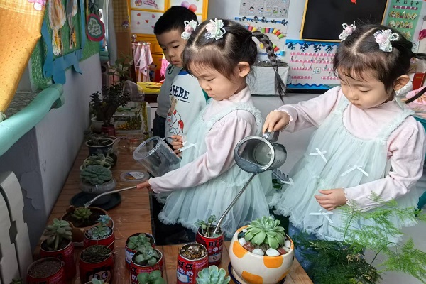 1743110110235090.jpg 微信图片_20250326060316.jpg