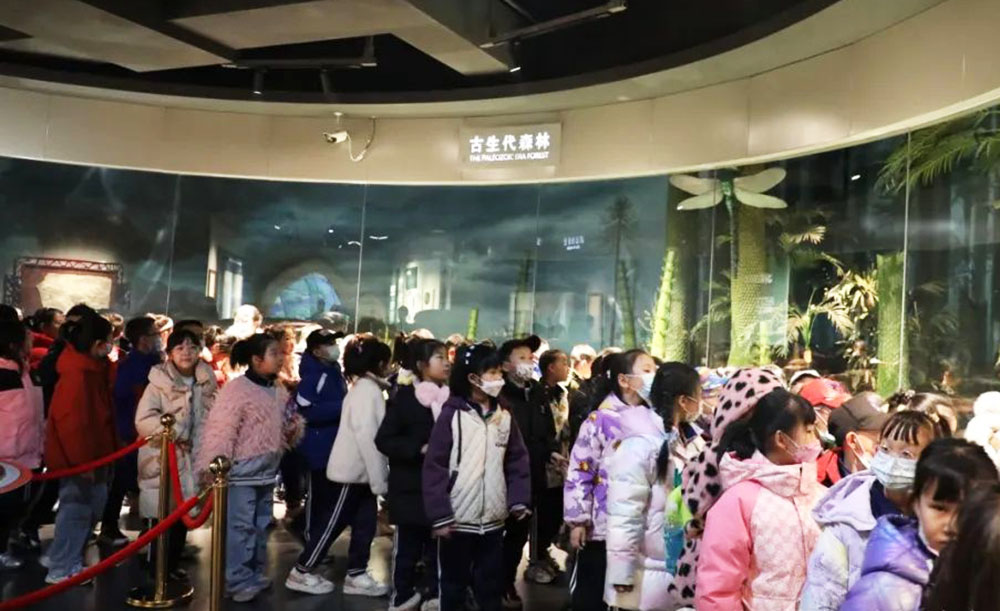 泰山小学001.jpg
