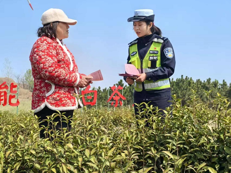 能仁乡交通安全宣传 (2).jpg