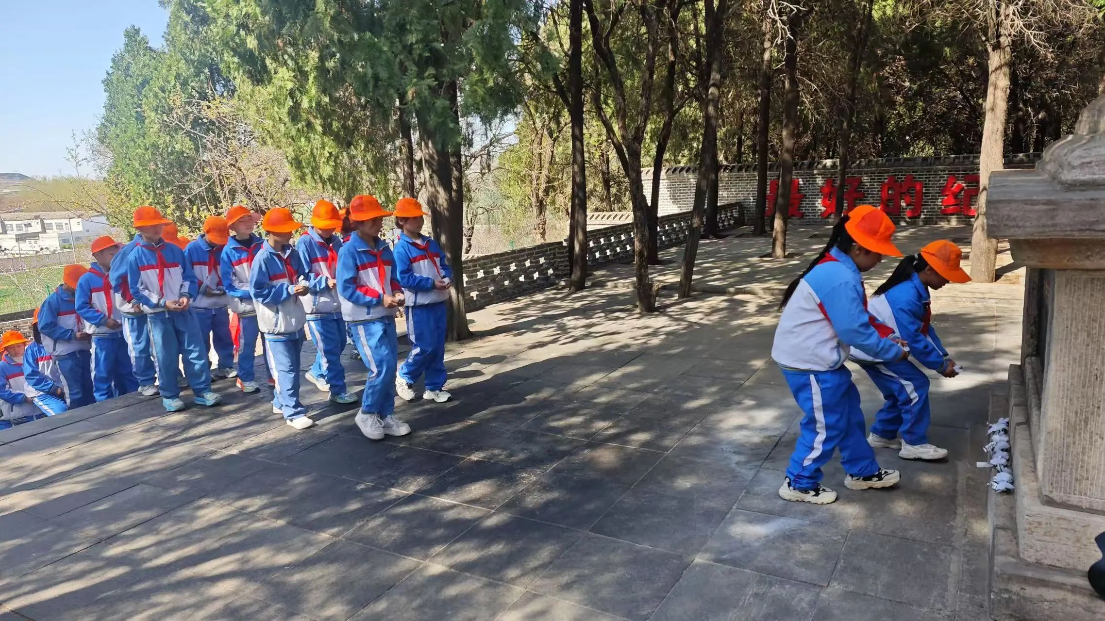 3.jpg