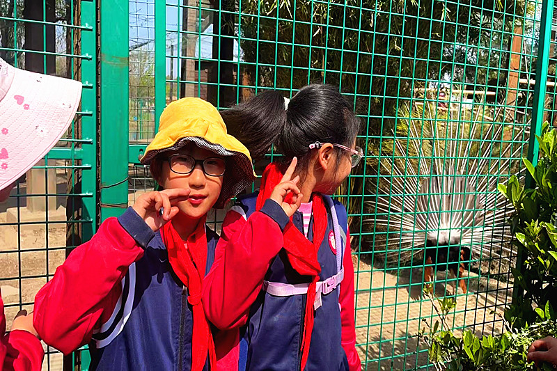 江苏省南京市高淳区固城中心小学春季社会实践活动让学生开阔眼界长见识(1).jpg
