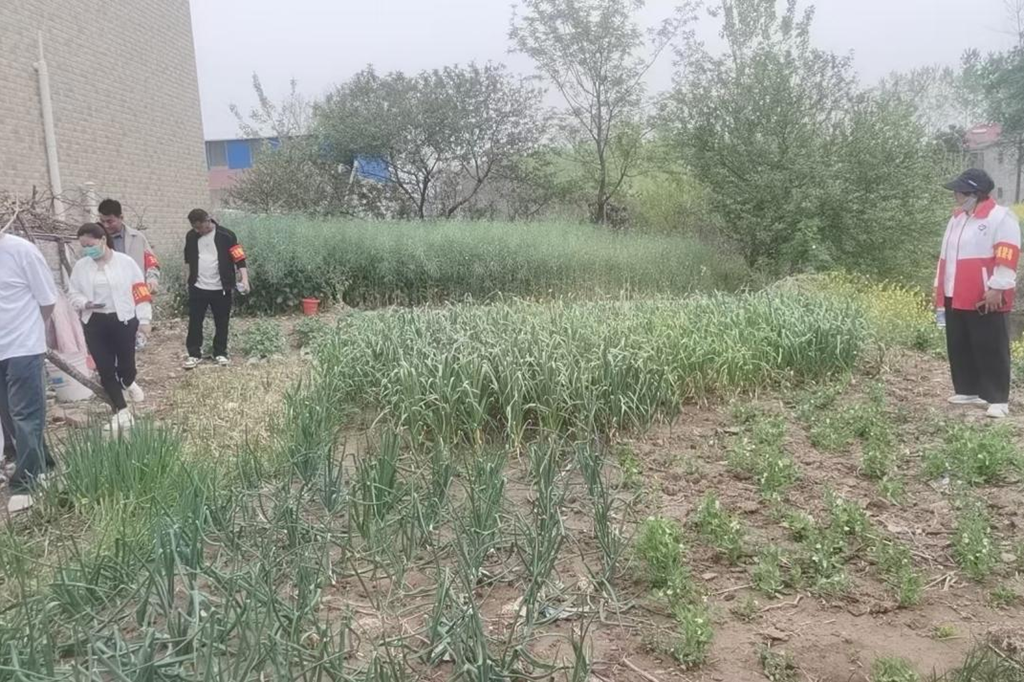 1744268973409590.png 图片1_副本.png