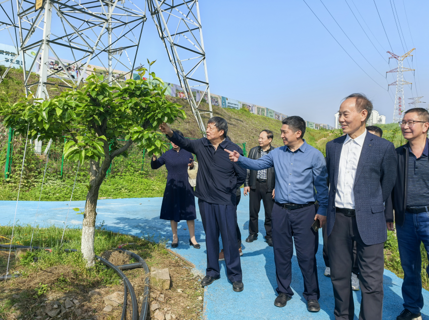 1县关工委冉主席与长寿区关工委张主任考察晶山小学劳动教育.png