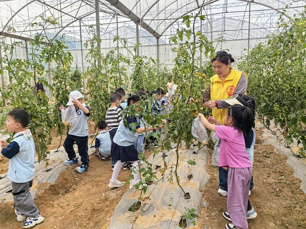 采摘水果1.jpg