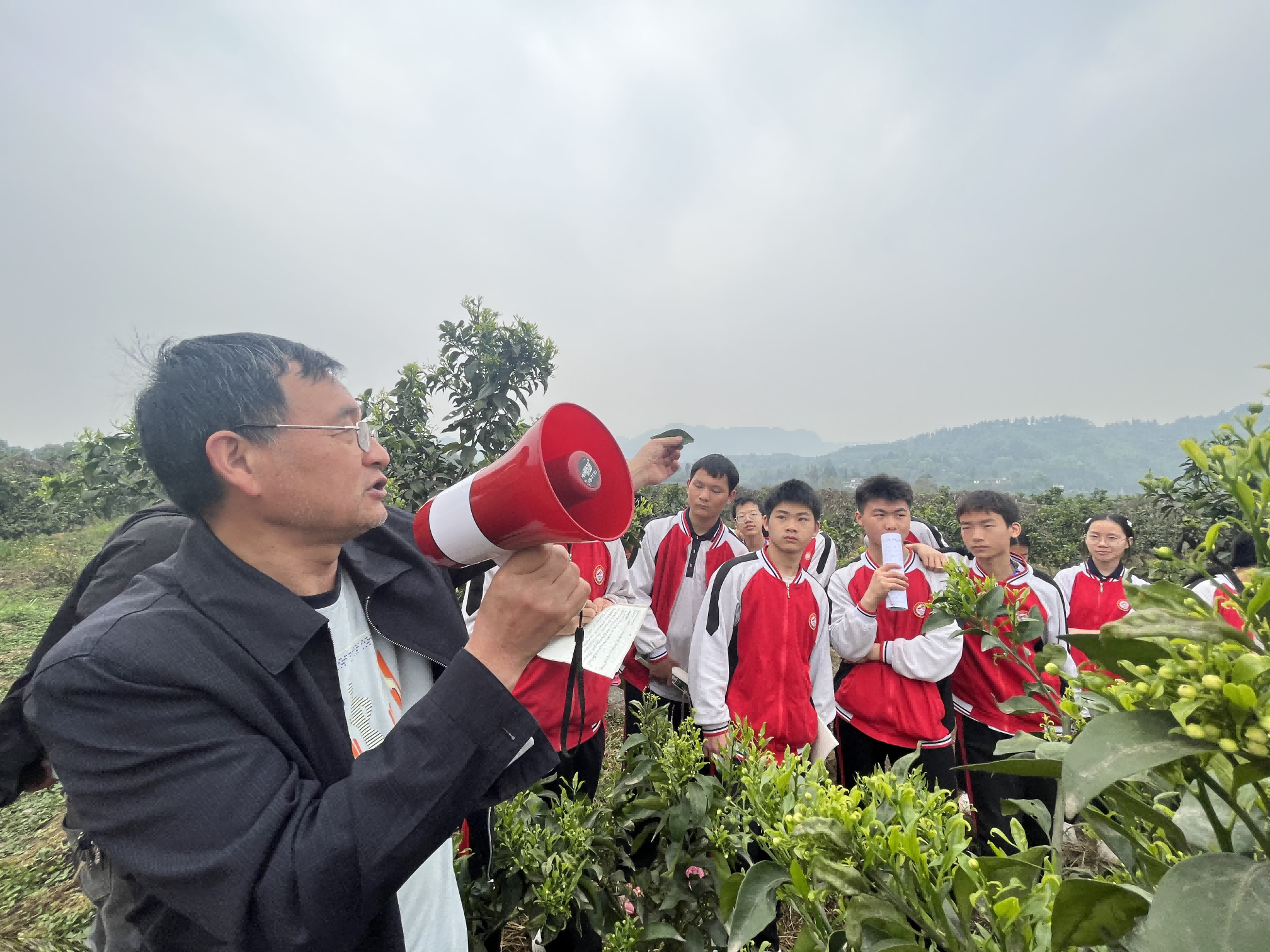 1744592378437217.png 图片3(1).png