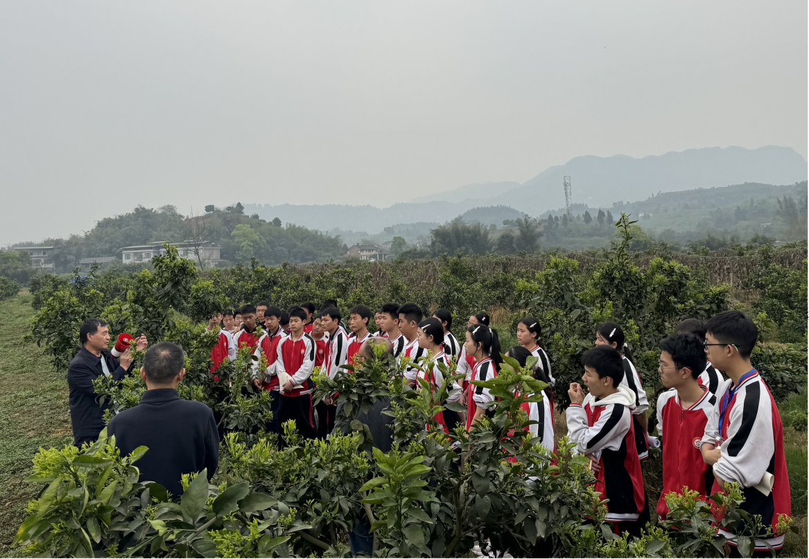 1744592503980204.png 图片2(1).png